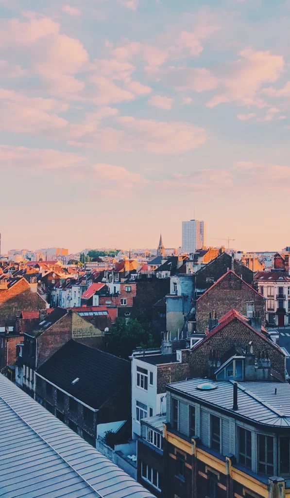 Panoramic view of some Brussels roofs
